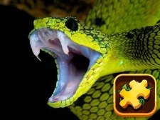 Snake Puzzle Challenge